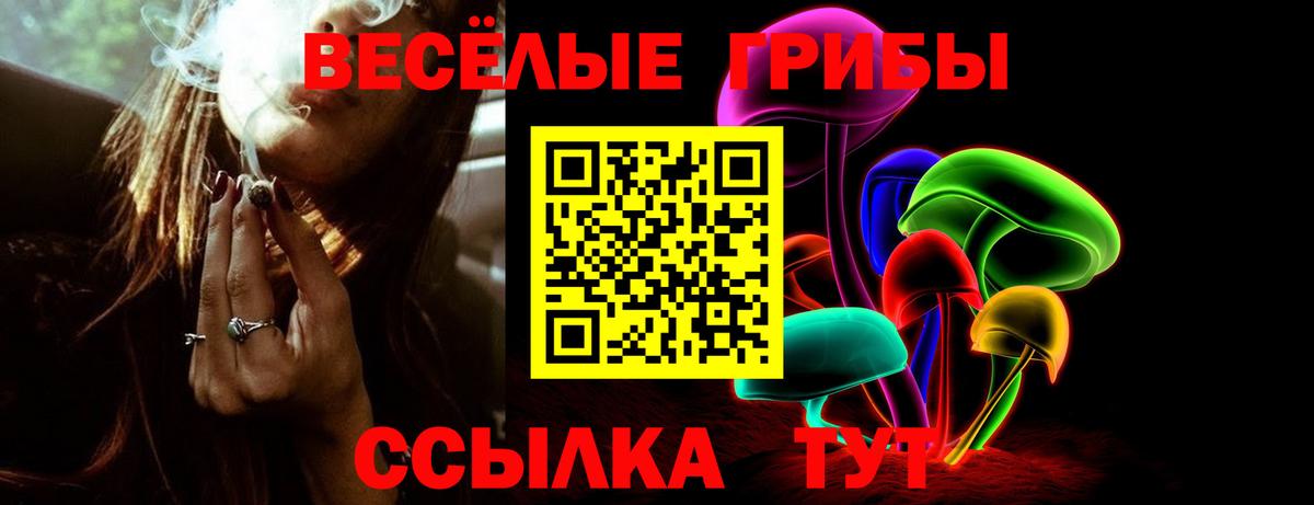 Псилоцибиновые грибы Cubensis Красноуфимск
